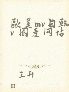 欧美mv日韩mv 国产网站