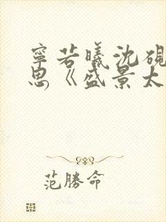 宁若曦沈砚舟黎思《盛景太匆匆》