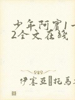 少年阿宾1一72全文在线