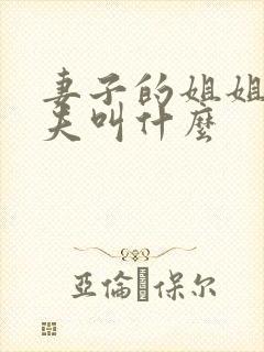 妻子的姐姐的丈夫叫什么封面