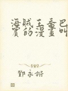 海贼王乔巴和罗宾的漫画叫啥封面