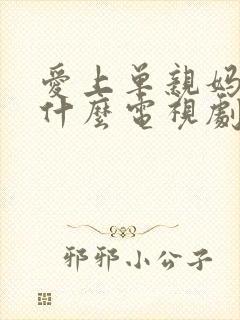 爱上单亲妈妈是什么电视剧