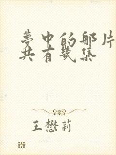 梦中的那片海一共有几集