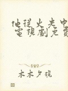 他从火光中走来 电视剧免费