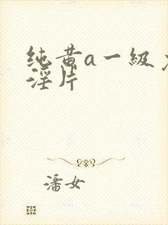 纯黄a一级免费淫片封面