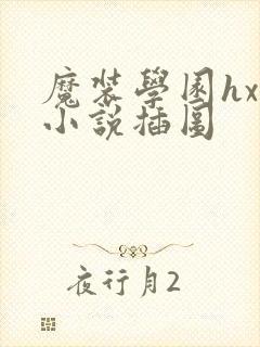 魔装学园hxh小说插图