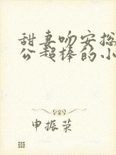 甜妻吻安总裁老公超棒的小说