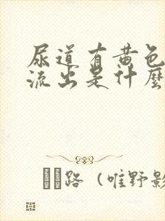 尿道有黄色液体流出是什么原因