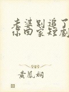 老婆别追了我跟你回家短剧免费观看全集