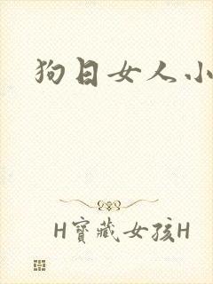 狗日女人小说