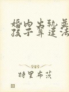 婚内出轨并有了孩子算违法吗