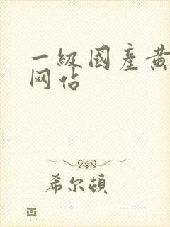 一级国产黄色片网站