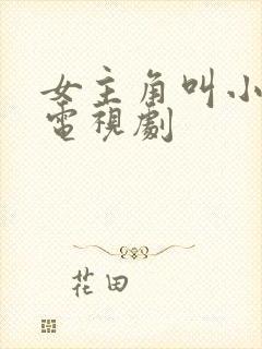 女主角叫小蝶的电视剧