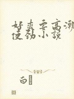 好爽要高潮了快使劲小说