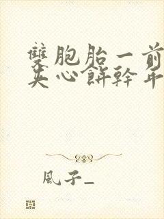 双胞胎一前一后夹心饼干年下