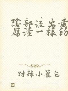 阴部流出黄色豆腐渣一样的分泌物