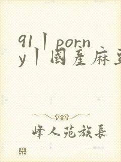 91丨porny丨国产麻豆
