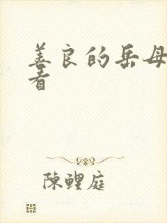 善良的岳母免费看封面