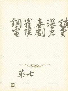 铜雀春深锁二美电视剧免费观看