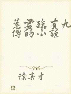 叶君临有九个师傅的小说