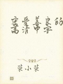 密爱善良的嫂子高清中字