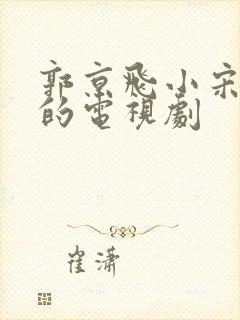 郭京飞小宋佳演的电视剧封面