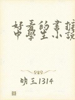 好看的书推荐初中学生小说