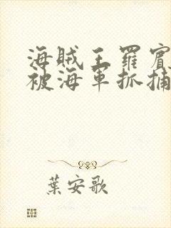 海贼王罗宾娜美被海军抓捕的漫画在