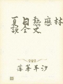 夏日热恋林姨小说全文封面