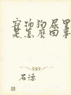 宠物狗尿里带血是怎么回事