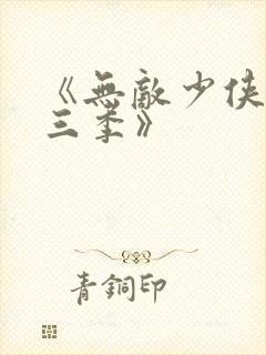 《无敌少侠 第三季》封面