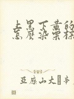 上黑下黄的头发怎么染栗棕色