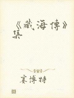 《藏海传》多少集