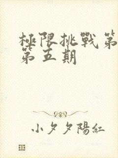 极限挑战第六季第五期封面