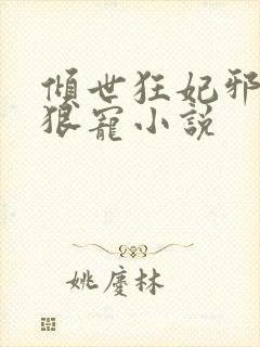 倾世狂妃邪王狠狠宠小说封面