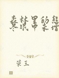 森林里的熊先生冬眠中未增删樱花动漫