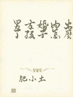 男方婚内出轨有了孩子怎么办