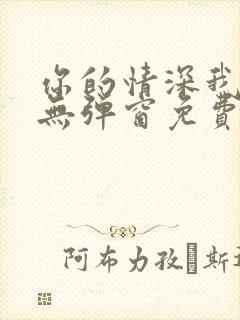 你的情深我不配无弹窗免费阅读