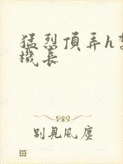 猛烈顶弄h禁欲机长