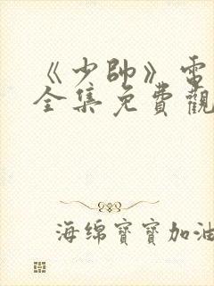 《少帅》电视剧全集免费观看