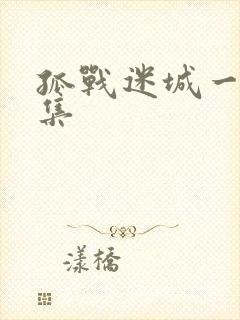 孤战迷城一共几集