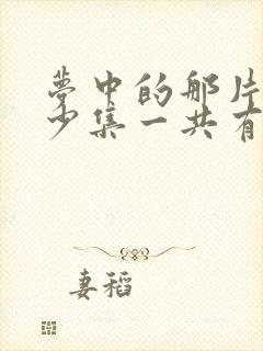 梦中的那片海多少集一共有几集封面