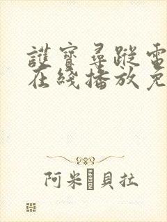 护宝寻踪电视剧在线播放免费观看