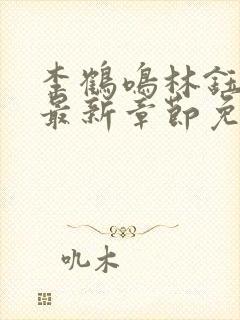 李鹤鸣林钰小说最新章节免费阅读封面