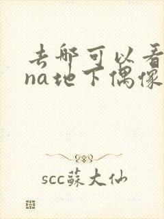 去哪可以看sana地下偶像