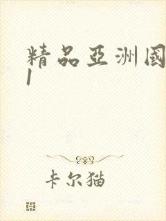 精品亚洲国产91