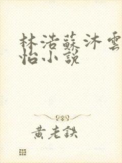 林浩苏沐云李静怡小说