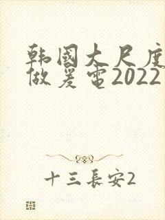 韩国大尺度激情做爰电2022封面