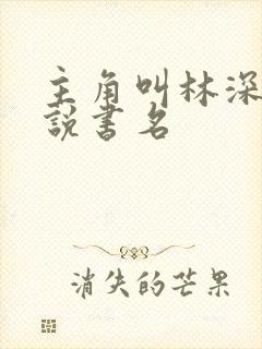 主角叫林深的小说书名