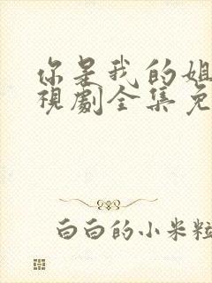 你是我的姐妹电视剧全集免费观看完整版封面